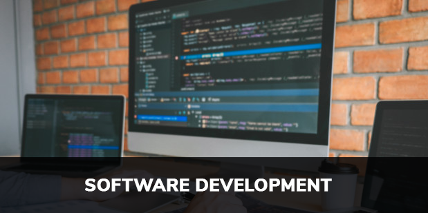 Software Development