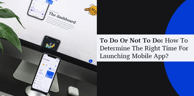 To Do Or Not To Do: How To Determine The Right Time For Launching Mobile App?