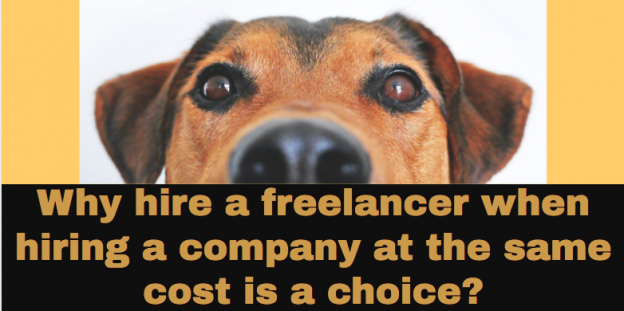 Why hire a freelancer when hiring a company at the same cost is a choice?
