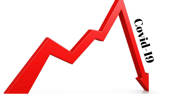 Decline or Growth: IT Sector Amidst the Pandemic “Covid-19”