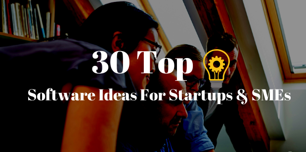 30 Top Software Ideas For Startups & SMEs