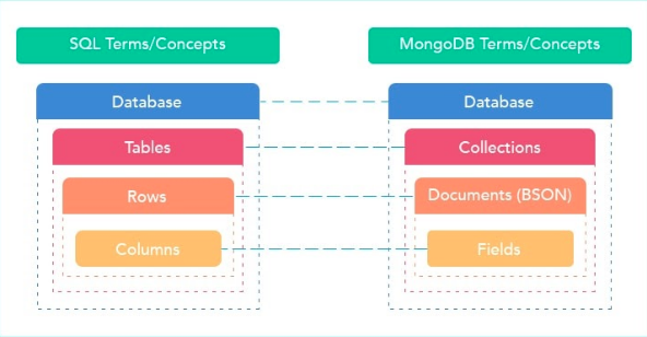 The database System: MongoDB