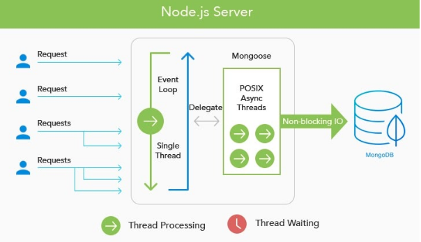 The backend runtime environment: Node.jsm