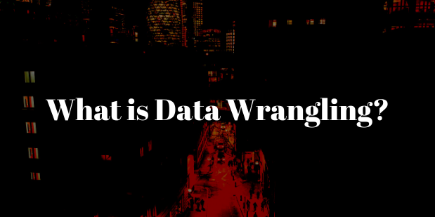 What is Data Wrangling & How it Can Benefit Your Business?