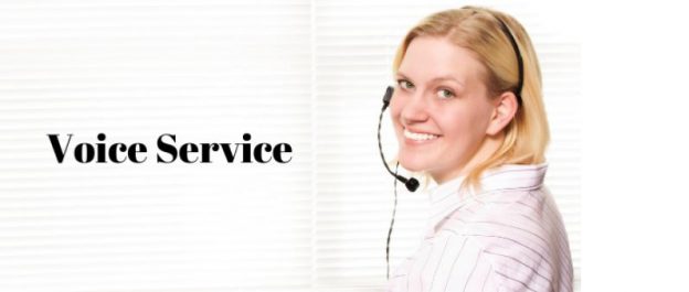 Voice Service