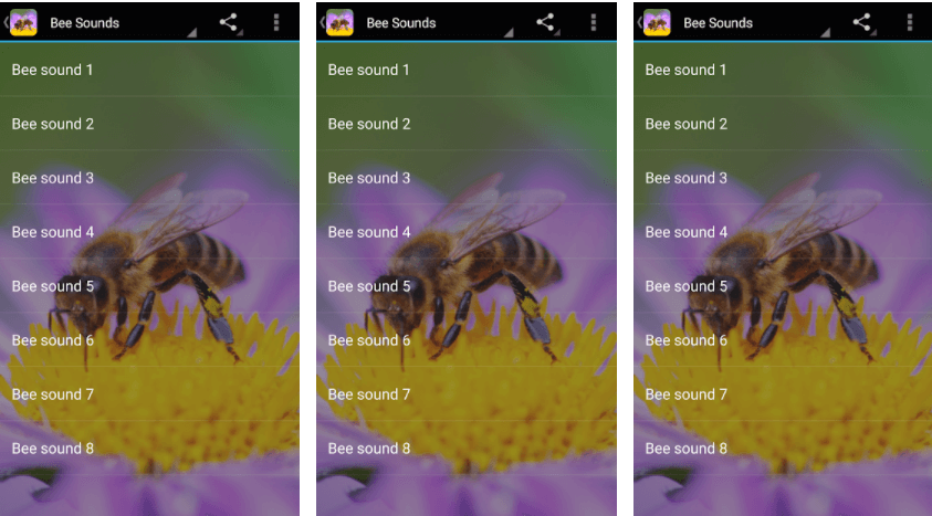 Bee Sounds