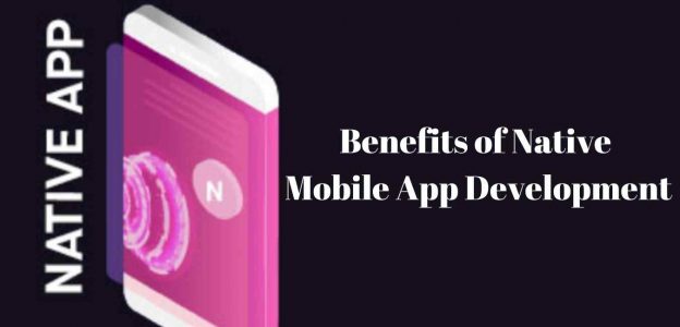 6 Major Benefits of Native Mobile App Development