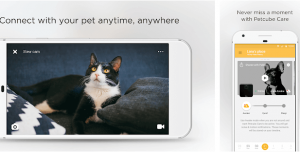 PetCube