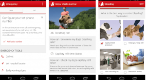 Pet First Aid