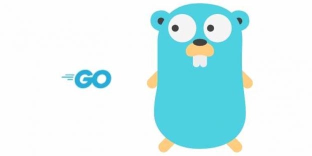 Top 10 IDEs and Tools for Golang Development – Worth Your Attention