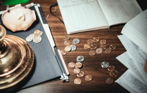 Budget Of Websites According To Pages And Business Types