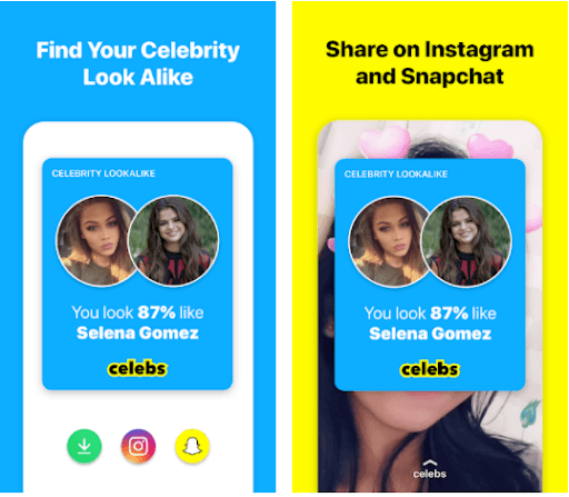 Celebrity Look-Alike