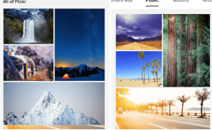 Flickr