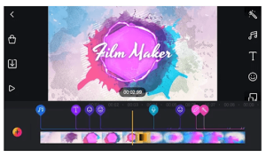 Film Maker Pro