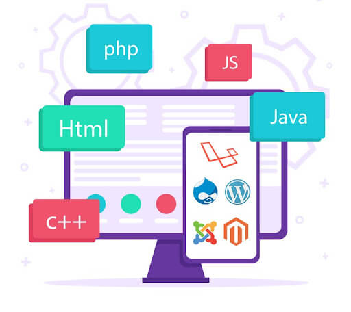 Custom Website Development