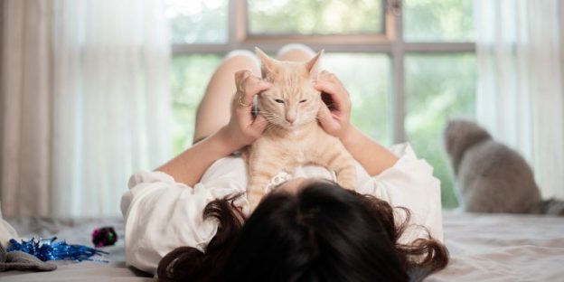 Top 8 Mobile Apps For Cat Lovers and Cat Owners
