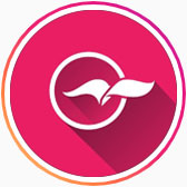 Mobile App Development and Web Designing Company