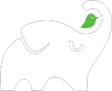 Android Mobile App Development