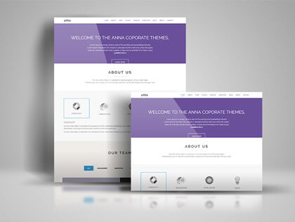 Landing Page Designing Services